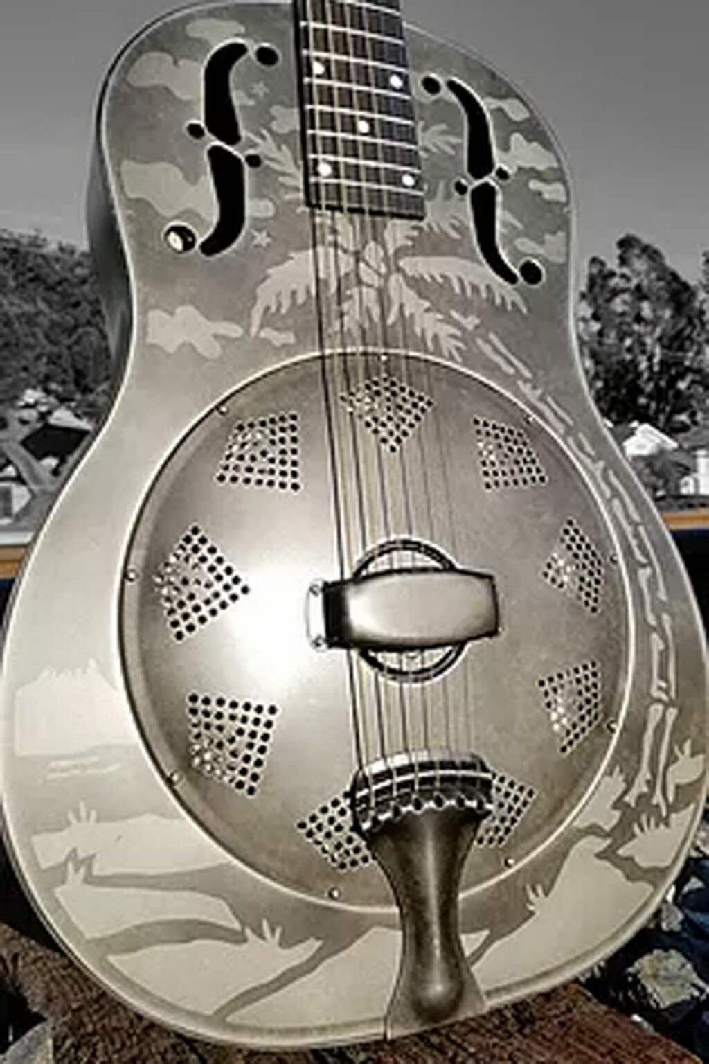 The Ultimate List of Resonator Ukuleles 2024 GuitarReview