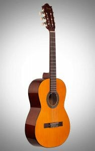 Ibanez 6 String Classical Guitar GA2